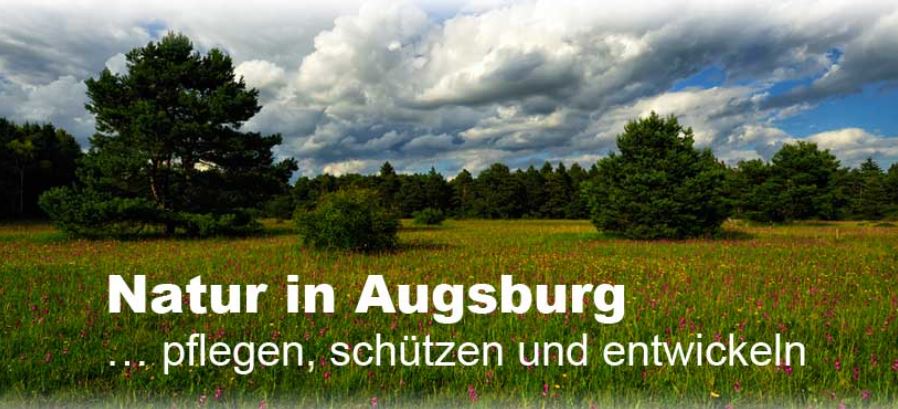 newsimg